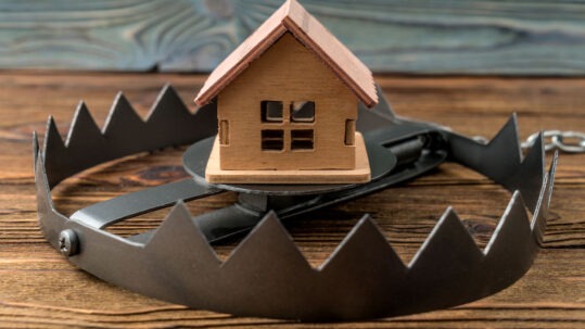 Model House sitting in the middle of an open bear trap